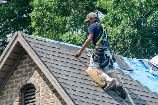 Best Local Roofing Companies  in Parkston, SD